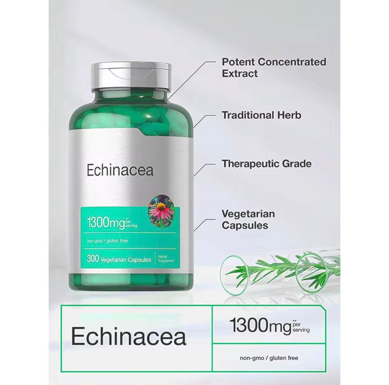 Arctic Echinacea 1300mg - Therapeutic Grade Immune Support