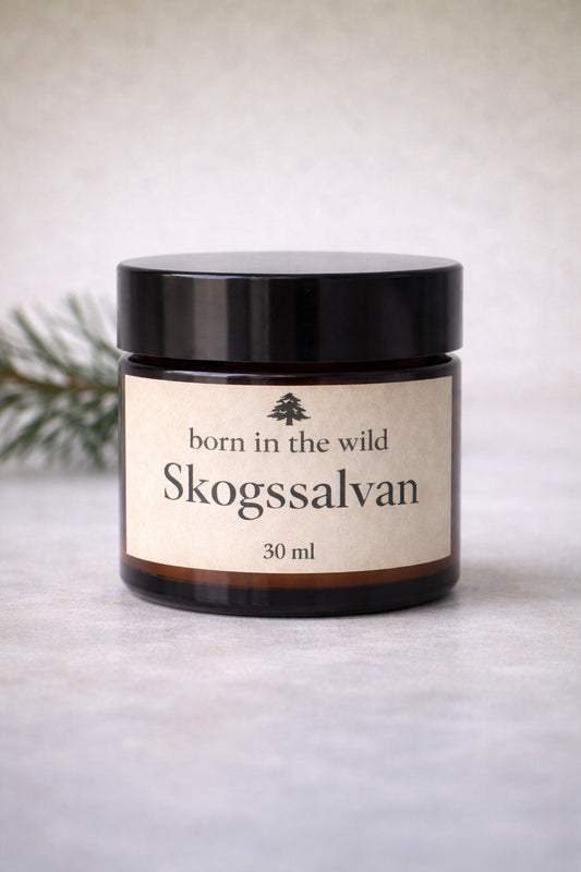 Skogssalvan – Allround-salva