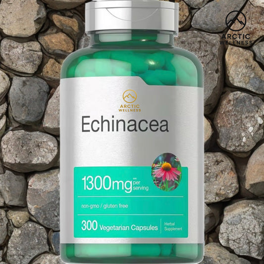 Arctic Echinacea 1300mg - Therapeutic Grade Immune Support